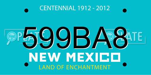 599BA8 New Mexico License Plate