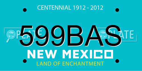 599BAS New Mexico License Plate