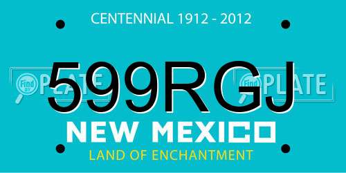599RGJ New Mexico License Plate