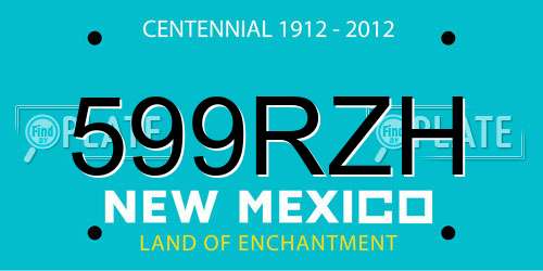 599RZH New Mexico License Plate