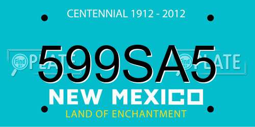 599SA5 New Mexico License Plate