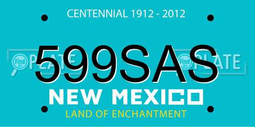 599SAS New Mexico License Plate