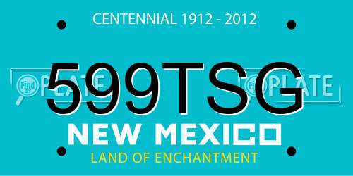 599TSG New Mexico License Plate