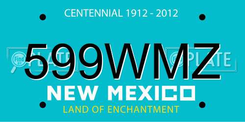 599WMZ New Mexico License Plate
