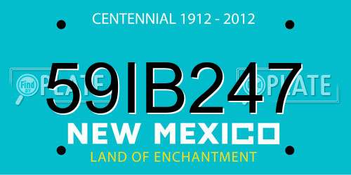 59IB247 New Mexico License Plate