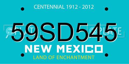 59SD545 New Mexico License Plate