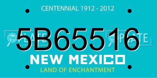 5B65516 New Mexico License Plate