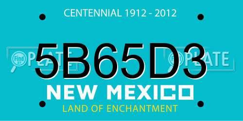 5B65D3 New Mexico License Plate