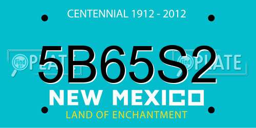 5B65S2 New Mexico License Plate