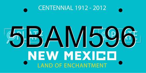 5BAM596 New Mexico License Plate