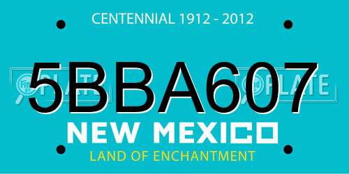 5BBA607 New Mexico License Plate