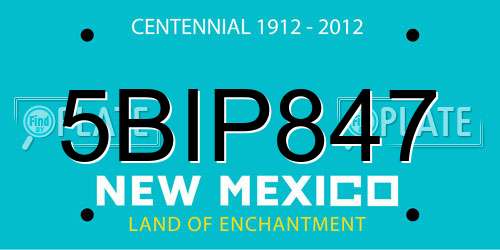 5BIP847 New Mexico License Plate