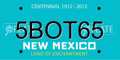 5BOT65 New Mexico License Plate