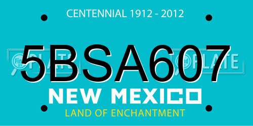 5BSA607 New Mexico License Plate