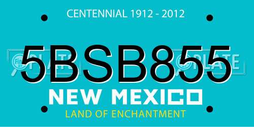 5BSB855 New Mexico License Plate