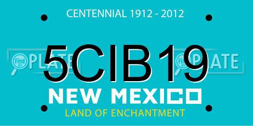 5CIB19 New Mexico License Plate