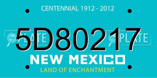 5D80217 New Mexico License Plate