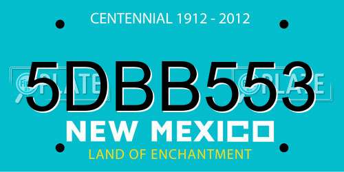 5DBB553 New Mexico License Plate