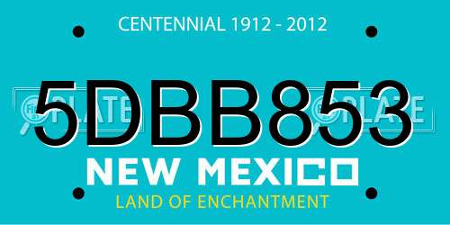 5DBB853 New Mexico License Plate