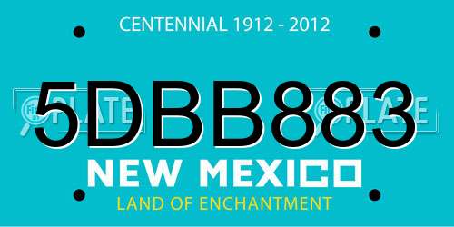 5DBB883 New Mexico License Plate