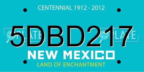 5DBD217 New Mexico License Plate