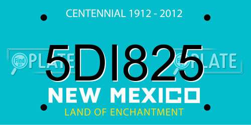 5DI825 New Mexico License Plate