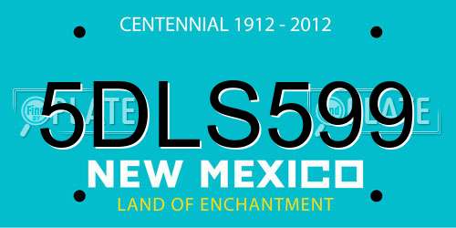 5DLS599 New Mexico License Plate