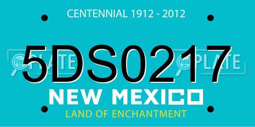 5DS0217 New Mexico License Plate
