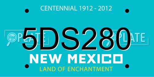 5DS280 New Mexico License Plate