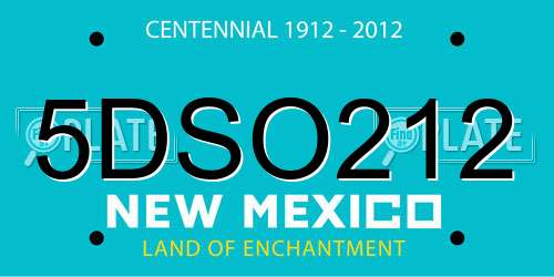 5DSO212 New Mexico License Plate
