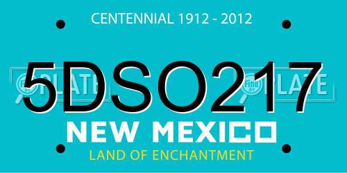5DSO217 New Mexico License Plate
