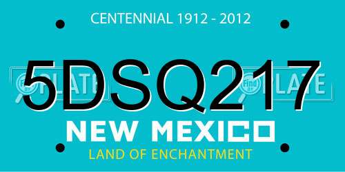 5DSQ217 New Mexico License Plate