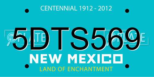 5DTS569 New Mexico License Plate