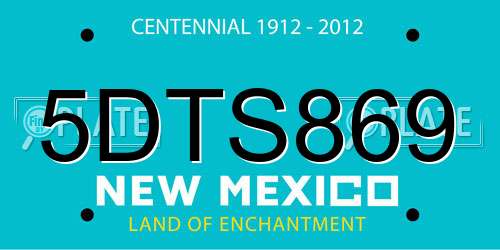 5DTS869 New Mexico License Plate