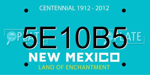 5E10B5 New Mexico License Plate