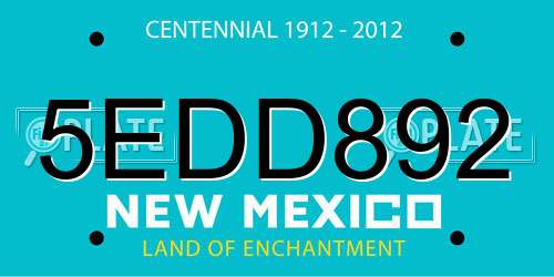 5EDD892 New Mexico License Plate
