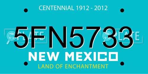 5FN5733 New Mexico License Plate