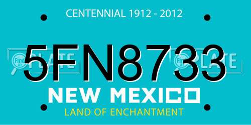 5FN8733 New Mexico License Plate