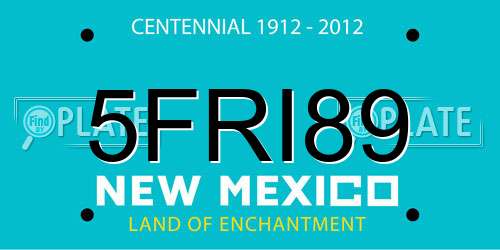 5FRI89 New Mexico License Plate
