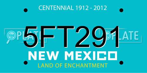 5FT291 New Mexico License Plate