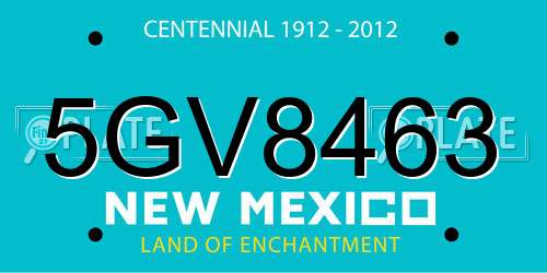 5GV8463 New Mexico License Plate