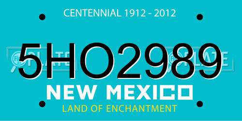 5HO2989 New Mexico License Plate