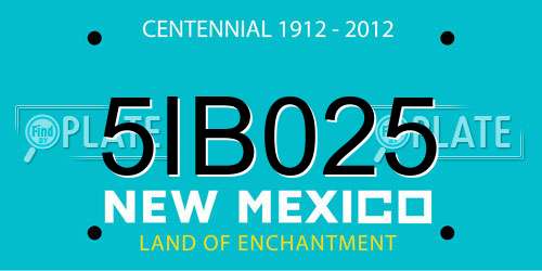 5IB025 New Mexico License Plate