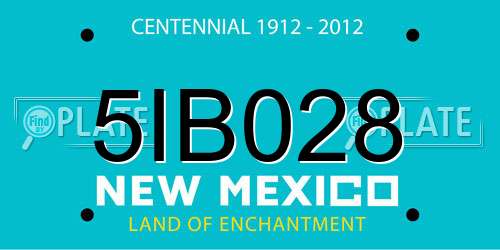 5IB028 New Mexico License Plate