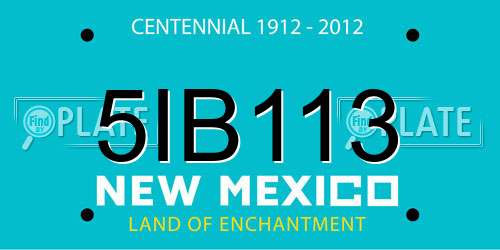 5IB113 New Mexico License Plate