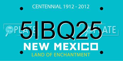 5IBQ25 New Mexico License Plate