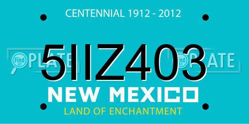 5IIZ403 New Mexico License Plate