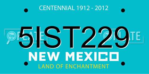 5IST229 New Mexico License Plate