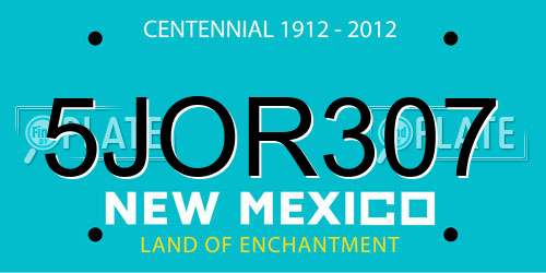 5JOR307 New Mexico License Plate
