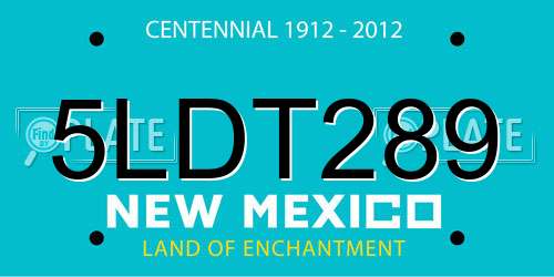 5LDT289 New Mexico License Plate